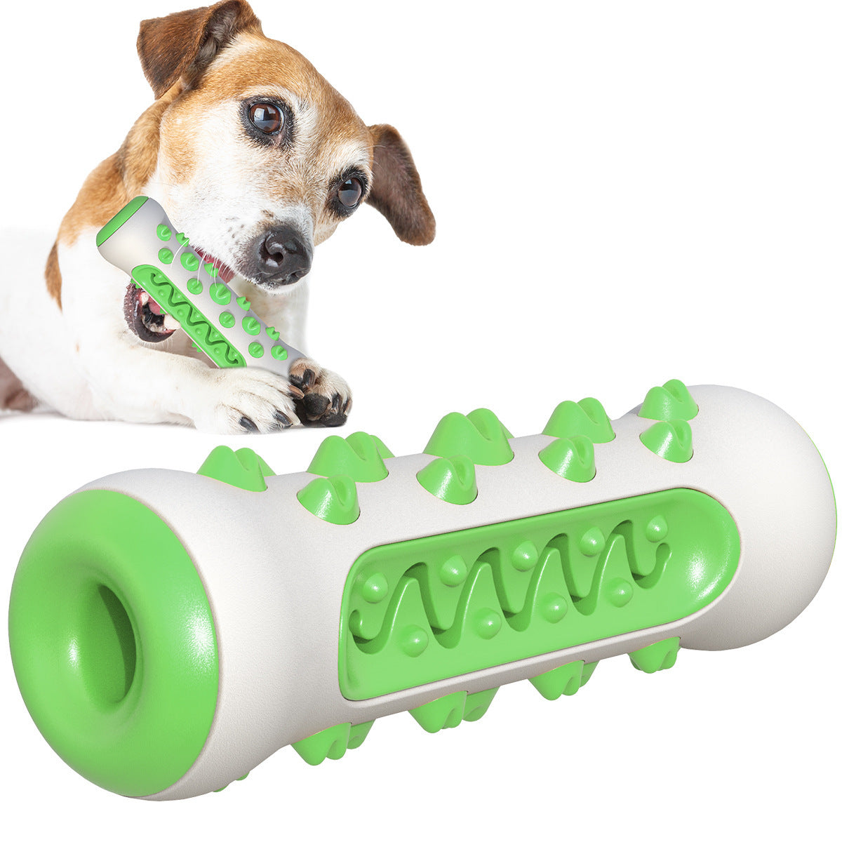 Dental Chew Treat Ball Dog Toy