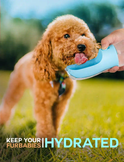 Furvana 3-in-1 portable pet water bottle in light blue being used by a brown poodle outdoors on a sunny day
