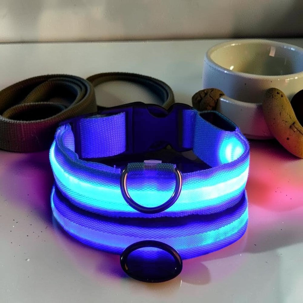 Furvana rechargeable blue LED dog collar with nylon strap, quick-release buckle, and D-ring for nighttime safety.