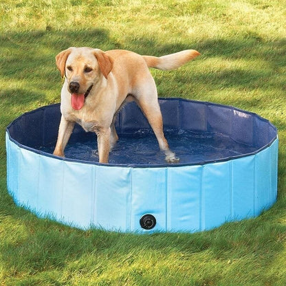 Furvana foldable blue PVC pet swimming pool with a yellow Labrador standing inside on a grassy lawn