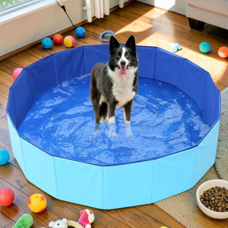 Furvana foldable blue pet swimming pool with a happy dog standing inside on a wooden floor with scattered toys