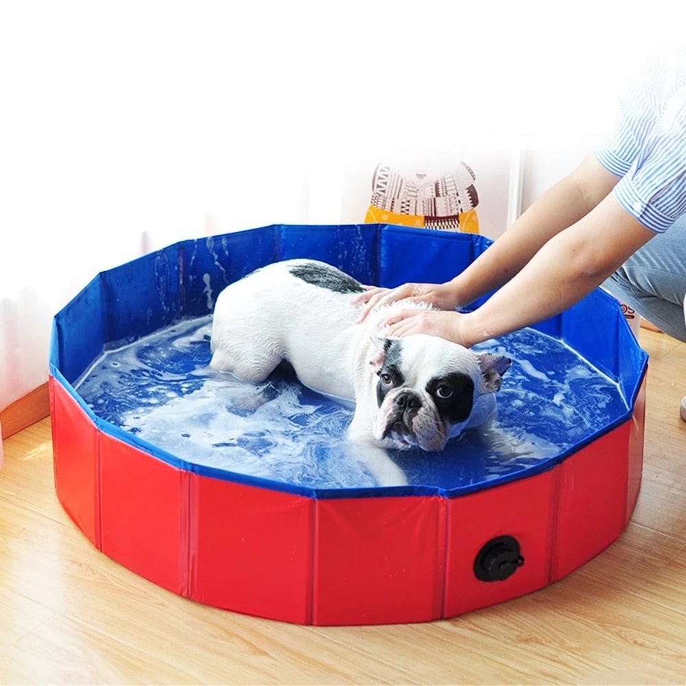 Furvana foldable pet swimming pool in red and blue with a French Bulldog being bathed inside.
