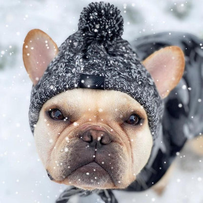 Furvana windproof cable-knit dog hat in grey marled acrylic with a pom-pom worn by a French Bulldog in the snow.