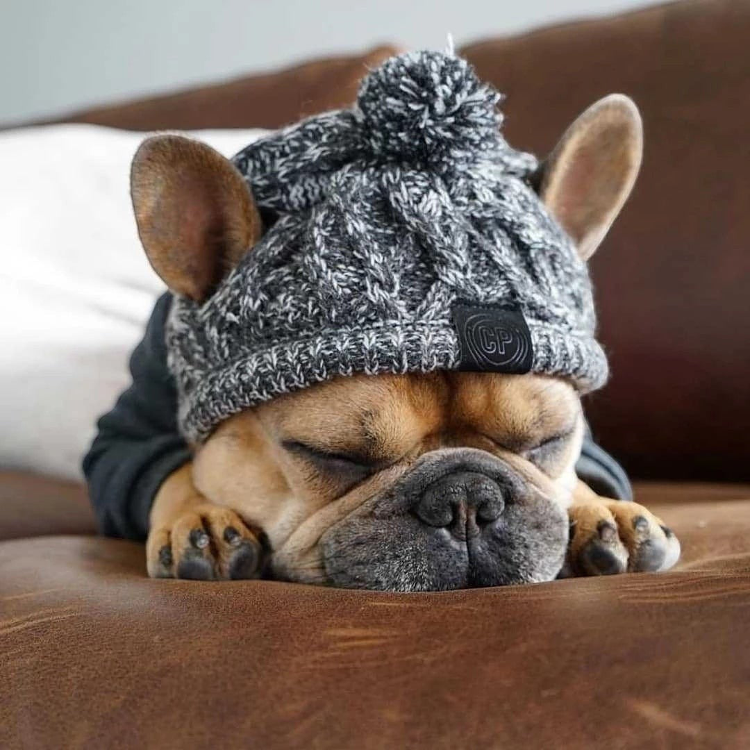 Furvana grey marled cable-knit dog hat with a pom-pom worn by a sleeping French Bulldog on a brown leather sofa