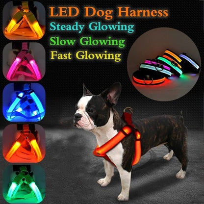 Furvana LED nylon dog harness in various glowing colors for high visibility and safety during nighttime walks.