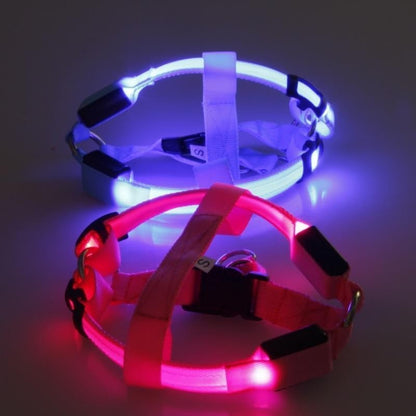 Furvana LED nylon pet safety harnesses in blue and pink glowing in the dark for nighttime visibility