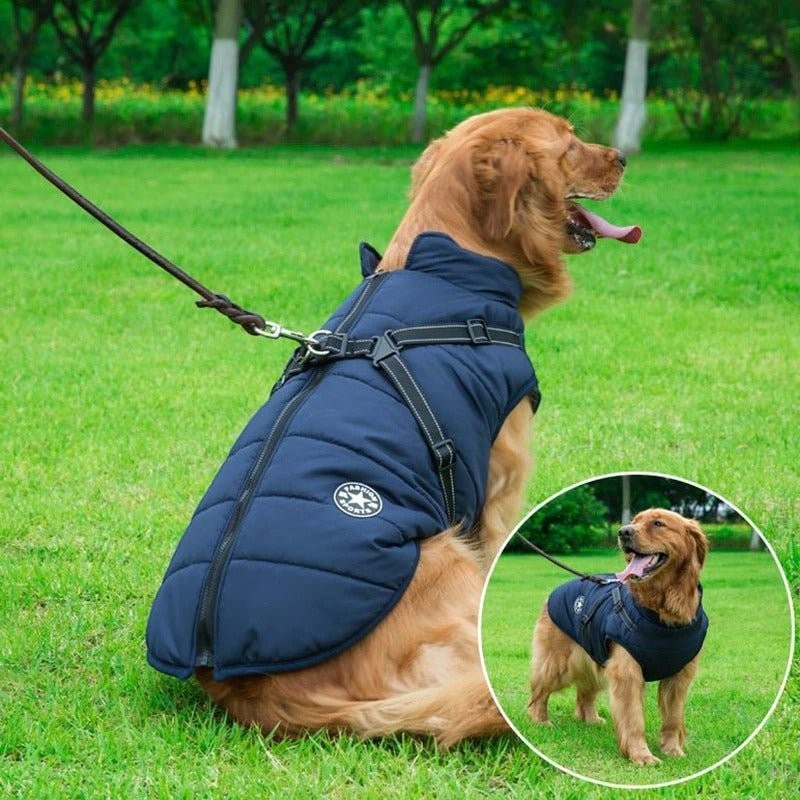 Furvana navy blue waterproof quilted dog harness jacket with built-in reflective straps worn by a golden retriever