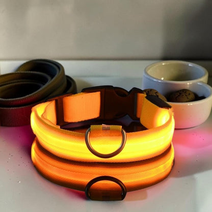 Furvana orange rechargeable LED dog collar with nylon strap and quick-release buckle for nighttime safety