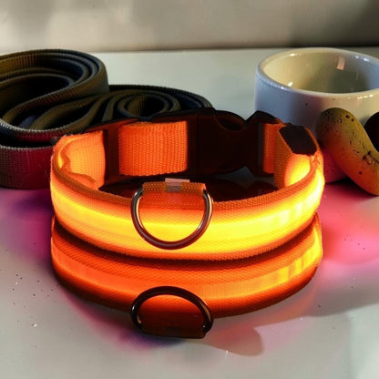 Furvana rechargeable orange LED dog collar with durable nylon strap and metal D-ring for nighttime safety