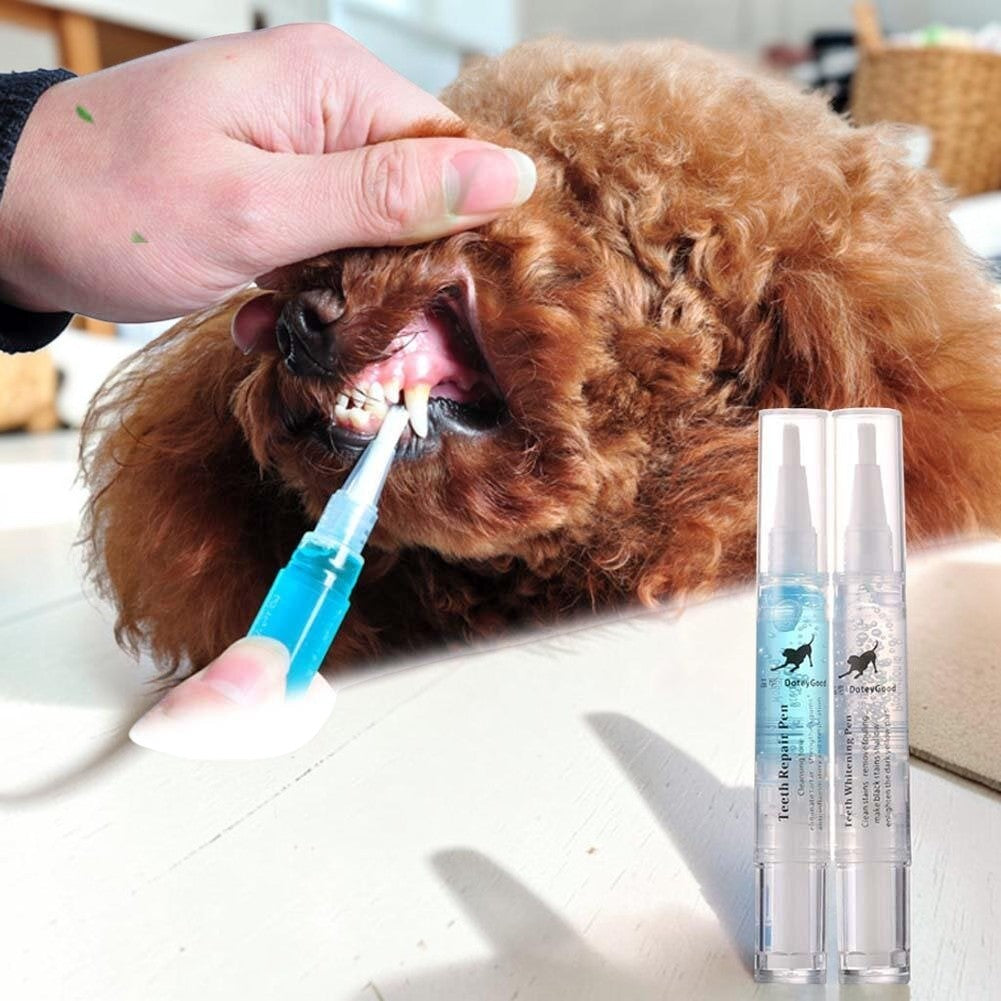 Furvana pet teeth cleaning pen being used to remove plaque from a brown poodle's teeth for improved oral health