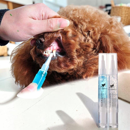 Furvana pet teeth cleaning pen being used to remove plaque from a brown poodle's teeth for improved oral health