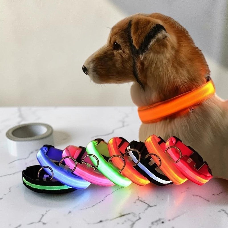 Furvana rechargeable LED dog collar in various bright colors worn by a dog for nighttime safety and visibility