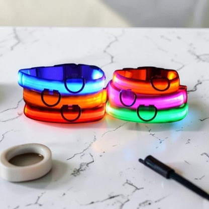 Furvana rechargeable LED dog collars in blue, orange, pink, and green glowing on a dark surface for night visibility.