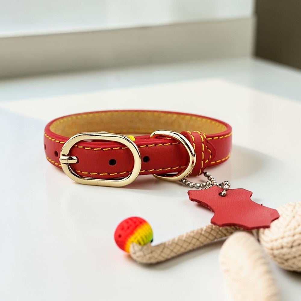 Furvana red genuine cowhide leather dog collar with gold stainless steel buckle and D-ring tag attachment