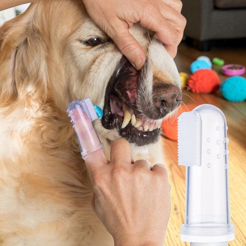 Furvana soft silicone finger toothbrush being used to clean a golden retriever's teeth for pet dental care