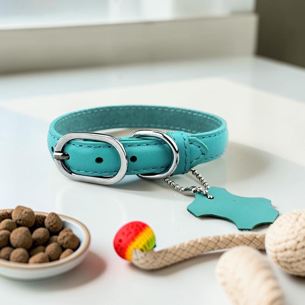 Furvana turquoise genuine leather dog collar with stainless steel buckle and matching leather hangtag on a white surface