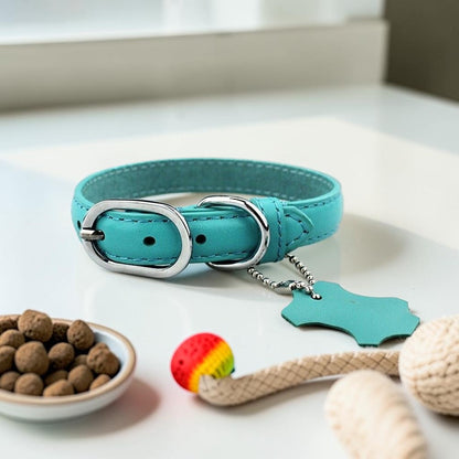 Furvana turquoise genuine leather dog collar with stainless steel buckle and matching leather hangtag on a white surface