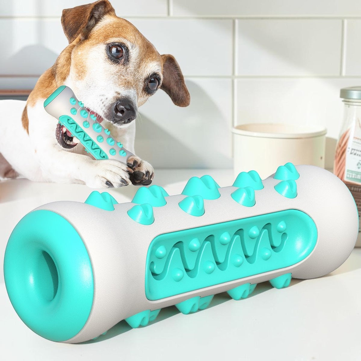 Furvana dental chew treat ball in white and teal TPR, featuring textured surfaces for dog teeth cleaning and play.