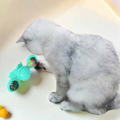 Furvana windmill cat toy in teal with a spiky dental grooming center, being played with by a grey kitten.