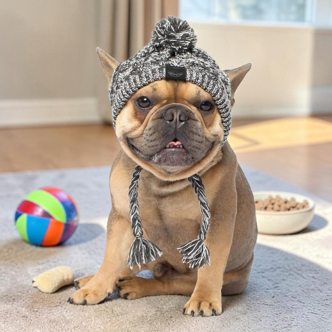 Furvana windproof cable-knit dog hat in grey and white with a pom-pom and braided tassels worn by a French Bulldog.